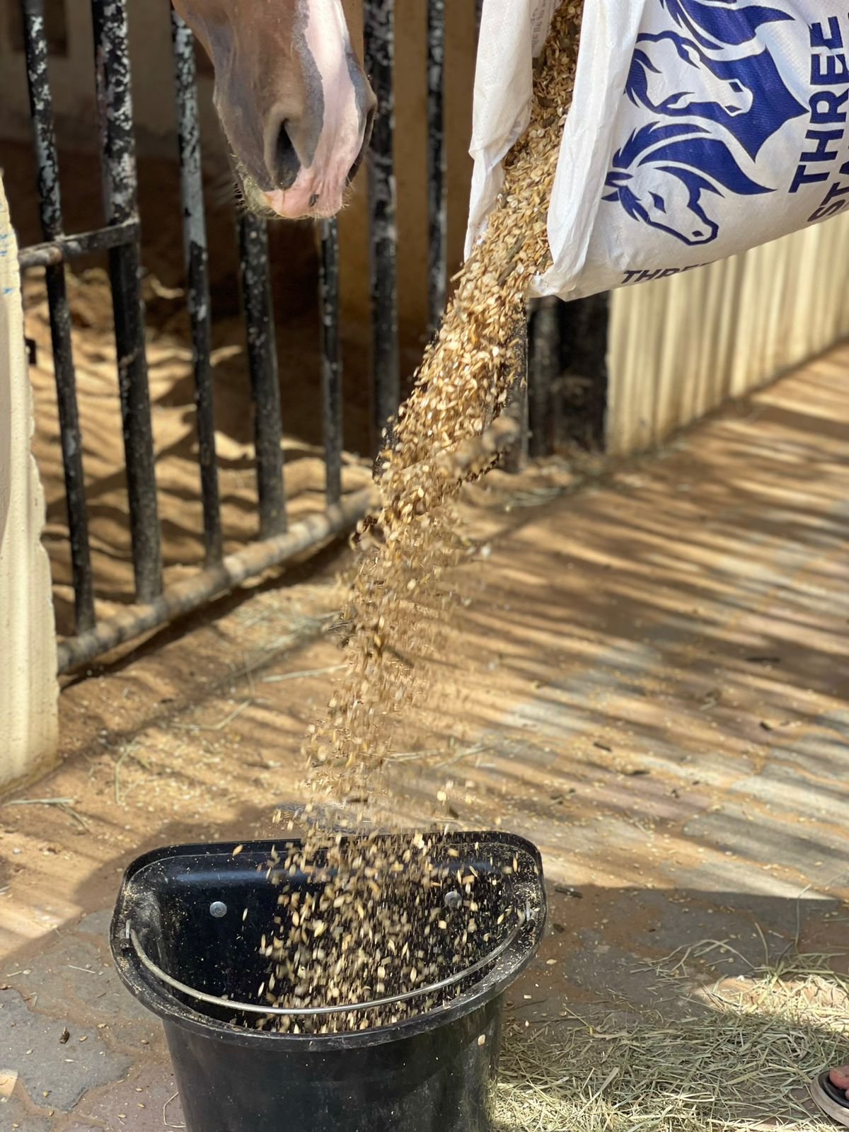 Premium Horse Food product image 3